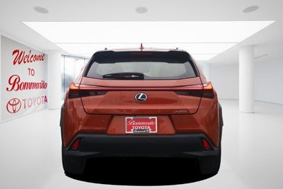 2019 Lexus UX UX 200